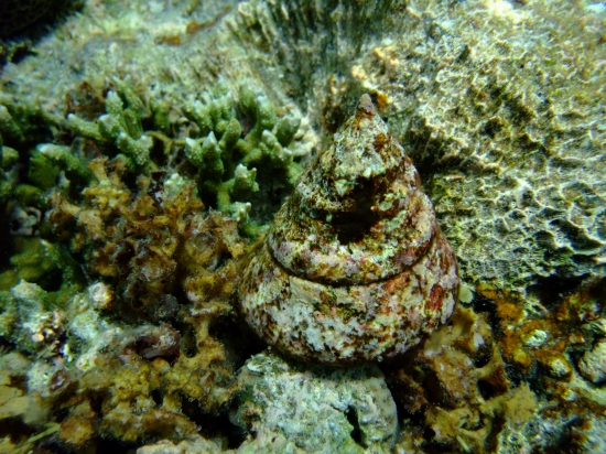 f0205857_1726591.jpg