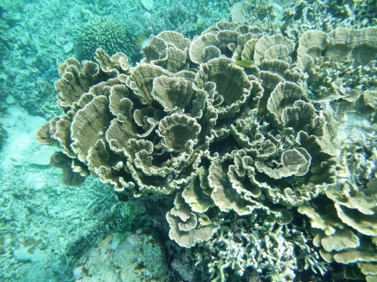 f0205857_17295063.jpg