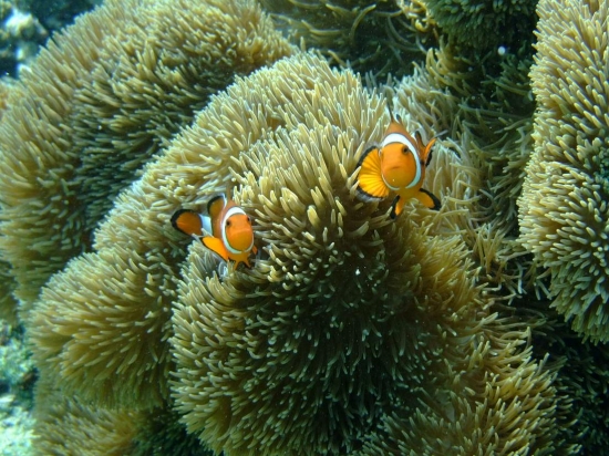 f0205857_173169.jpg
