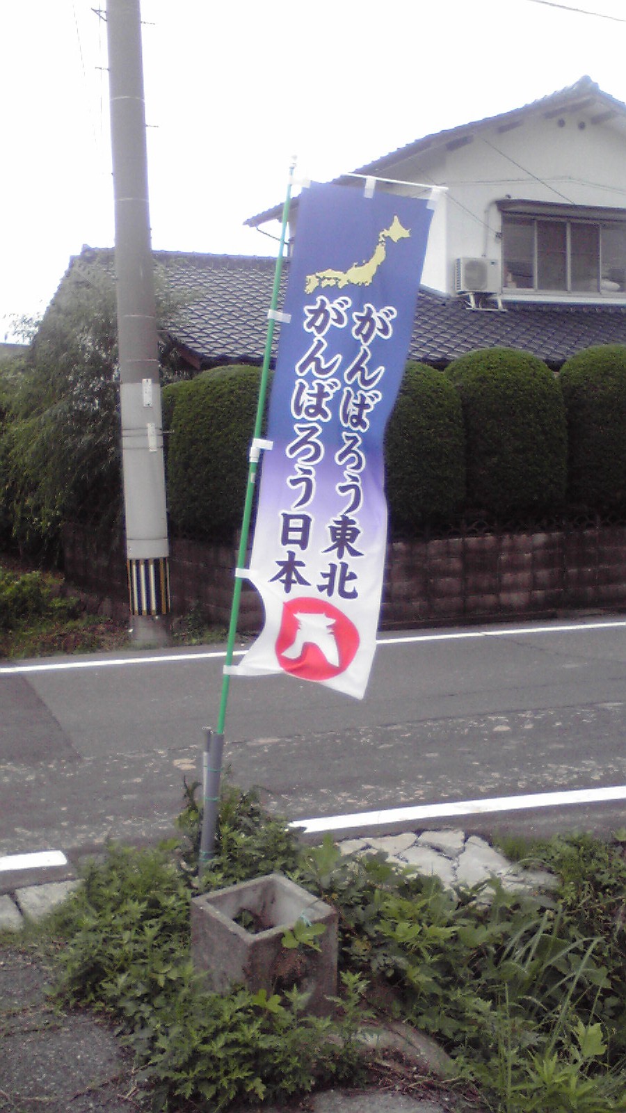 f0160860_1320561.jpg