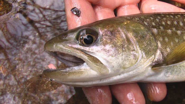 b0208961_11245014.jpg