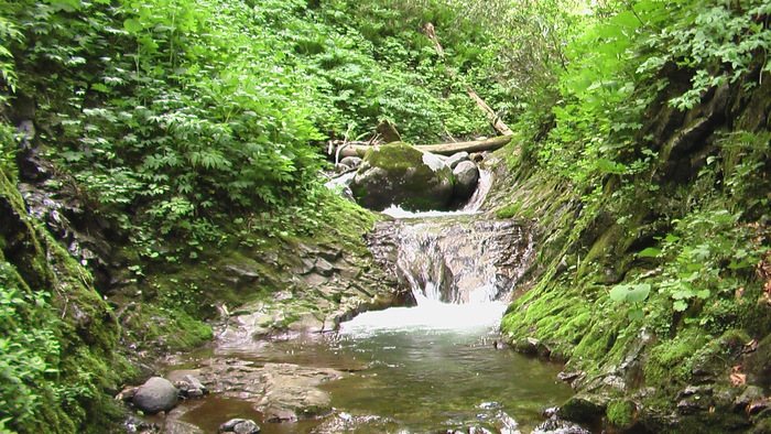 b0208961_11273776.jpg