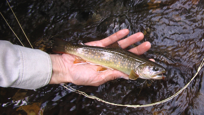 b0208961_1128586.jpg