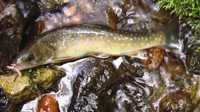 b0208961_11394443.jpg
