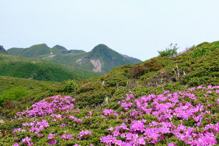 d0105063_6433677.jpg