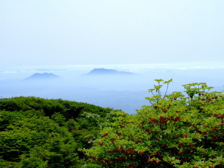 d0105063_651391.jpg