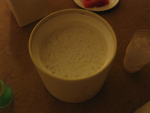 d0082970_024489.jpg