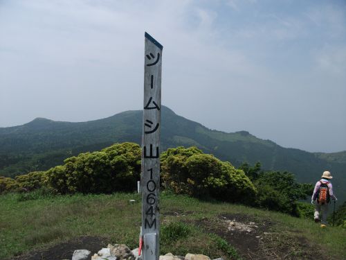 d0126573_23381415.jpg