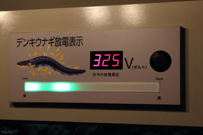 c0008378_21481877.jpg