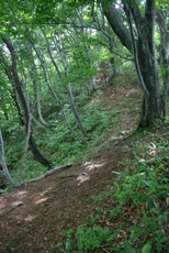 c0057781_22113927.jpg