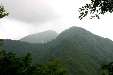 c0057781_22235617.jpg