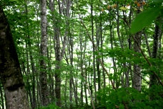 c0057781_22241142.jpg