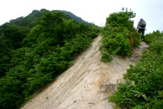 c0057781_22275189.jpg