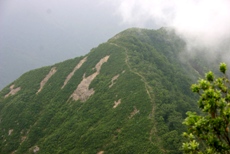c0057781_22405341.jpg