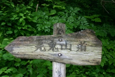 c0057781_2245866.jpg