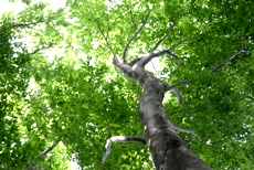 c0057781_2251177.jpg