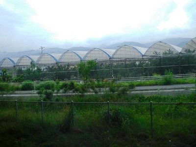 a0109288_18131093.jpg
