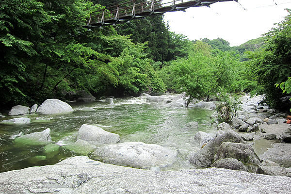 b0169489_15254422.jpg