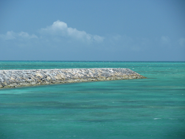 c0064389_1849163.jpg