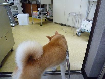 c0123890_20123846.jpg