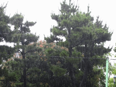 e0143690_1417588.gif