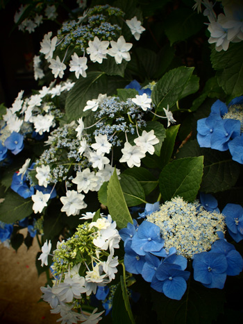 d0143891_10565344.jpg