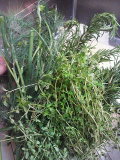f0085291_2223386.jpg