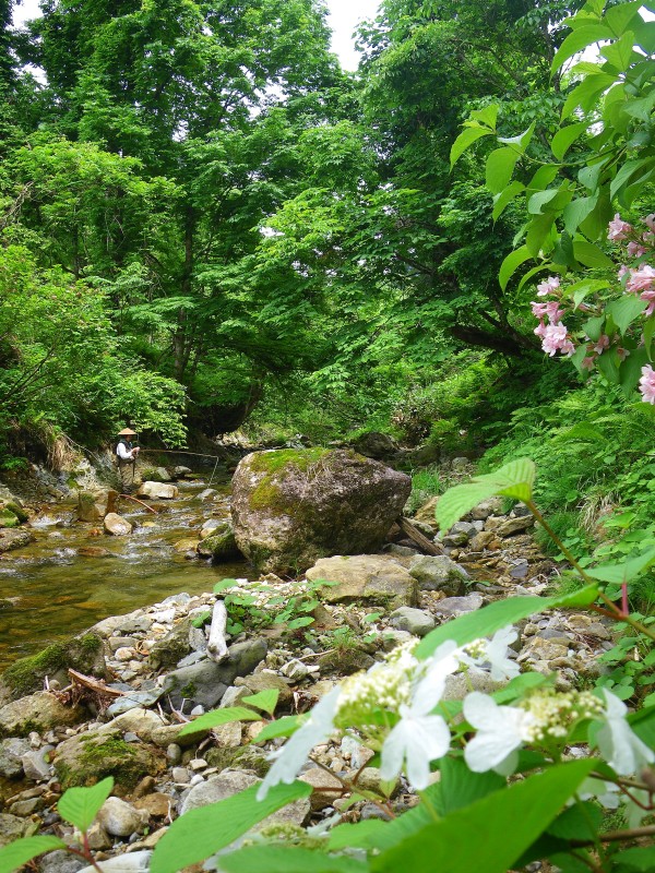 f0129994_11345336.jpg