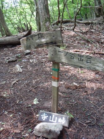 b0039898_1231048.jpg