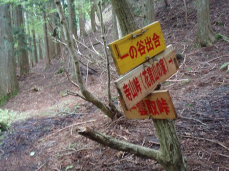 b0039898_12312753.jpg