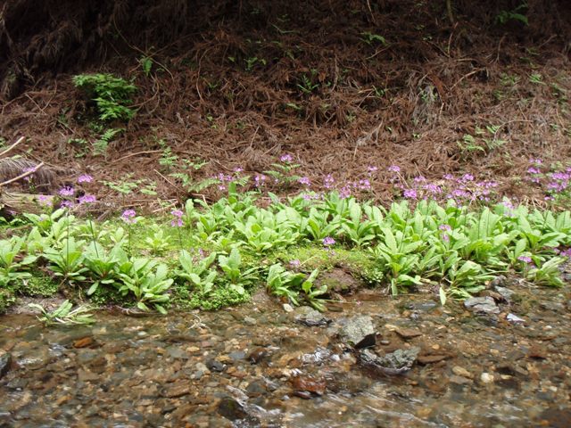 b0039898_12314283.jpg