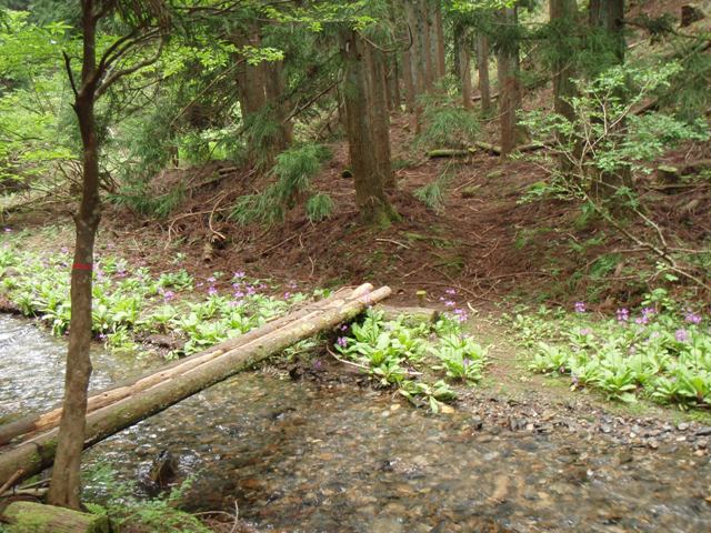 b0039898_1232189.jpg