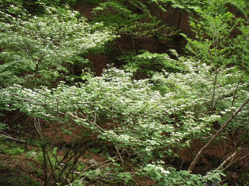 b0039898_1234217.jpg