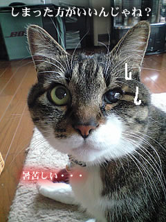 c0035001_11285565.jpg