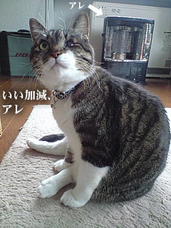 c0035001_1129211.jpg