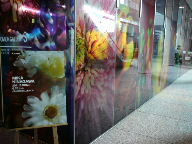 c0088402_23425372.jpg