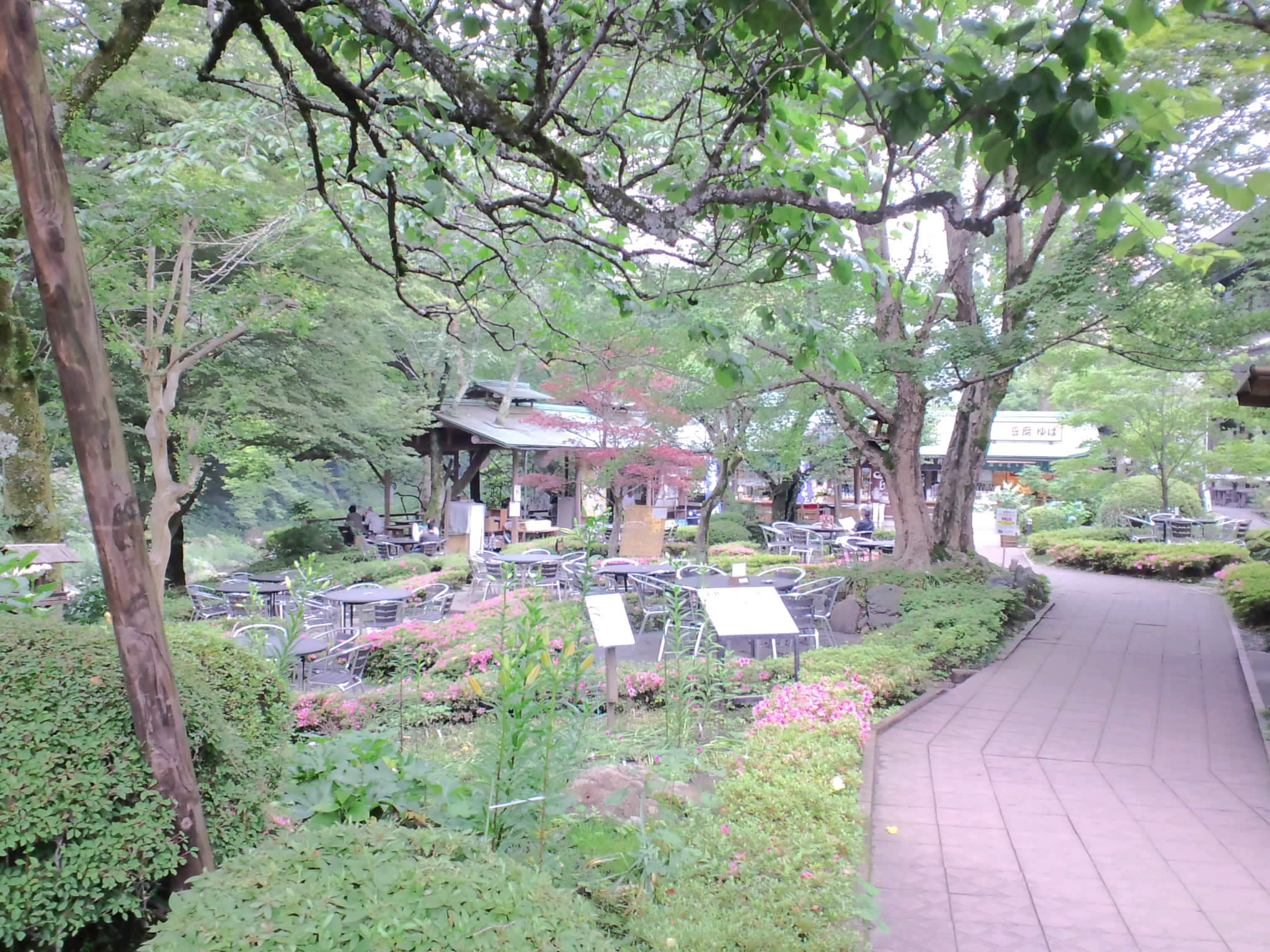 f0147602_1329281.jpg