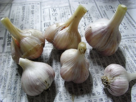 f0187402_2112321.jpg