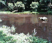 a0212807_2356169.jpg