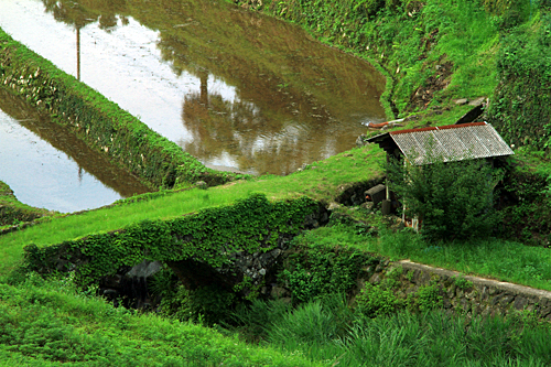 b0014607_12135976.jpg