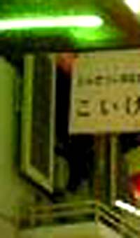 e0103408_13581849.jpg