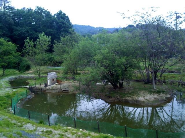 d0016409_015780.jpg