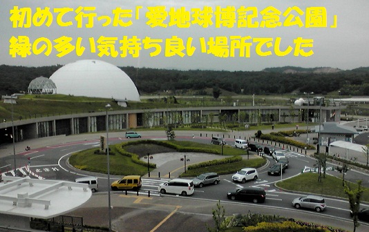 f0121712_1261895.jpg