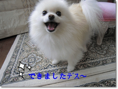 b0167519_9391197.gif