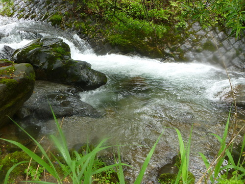 b0195927_2221886.jpg