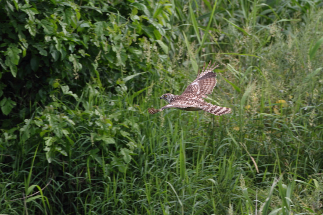c0148230_2046434.jpg