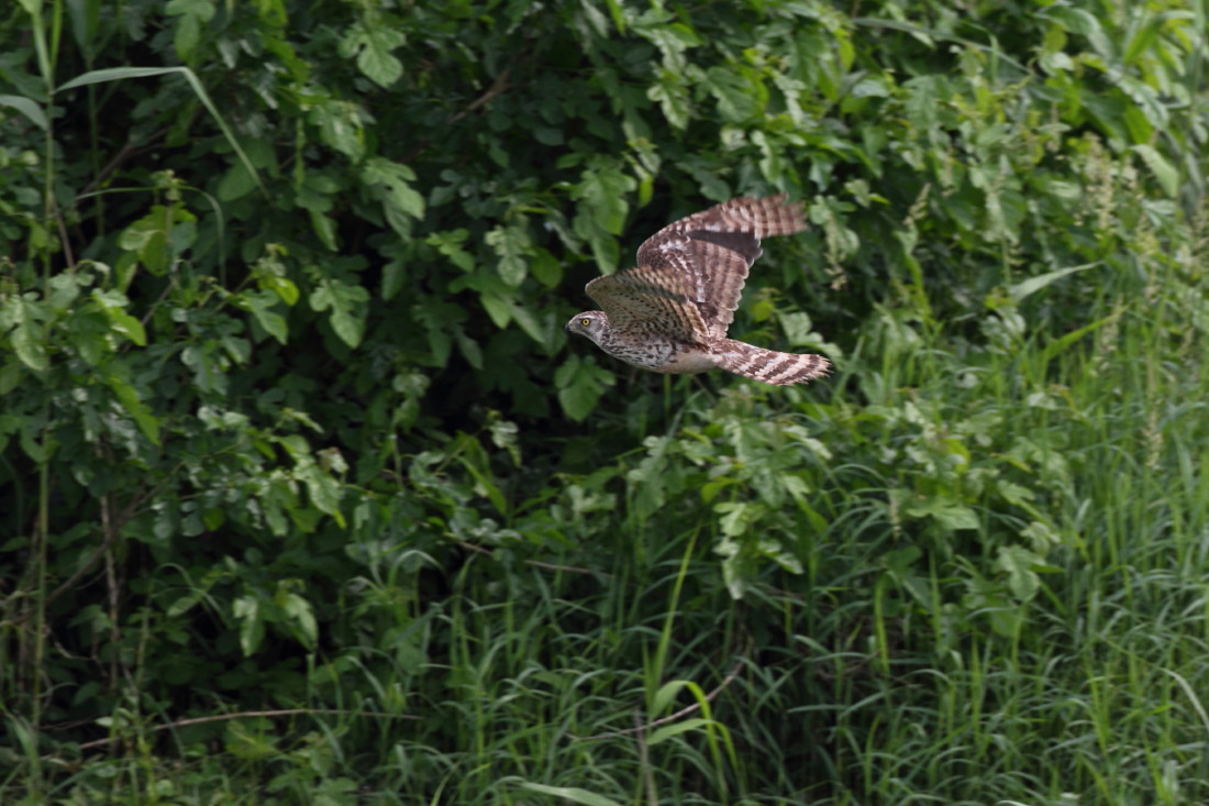 c0148230_20471795.jpg