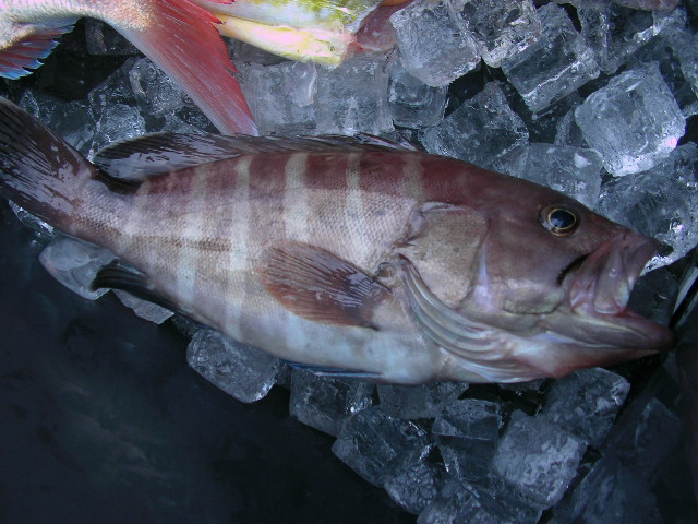 a0132631_23225241.jpg
