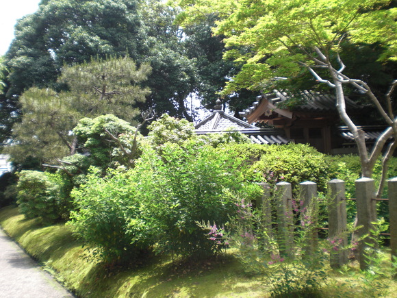 c0199535_22251557.jpg