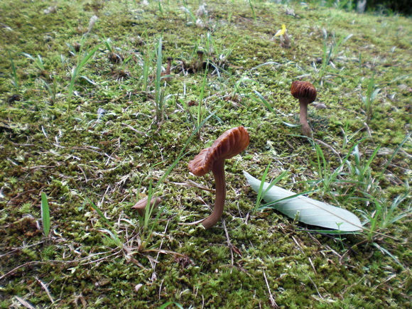 c0199535_22411670.jpg